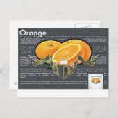 Orangen Postkarte (Vorne/Hinten)