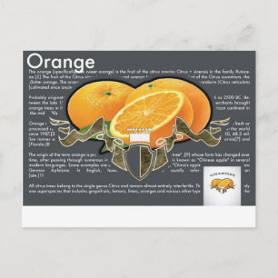 Orangen Postkarte