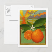 Orangen Postkarte (Vorne/Hinten)