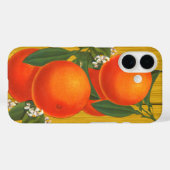 Orangen Retro Fruchtkasten Kunst Case-Mate iPhone Hülle (Rückseite (Horizontal))