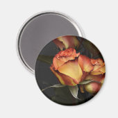 Orangen, Rot und Gelb Magnet (Vorderseite/Rückseite)