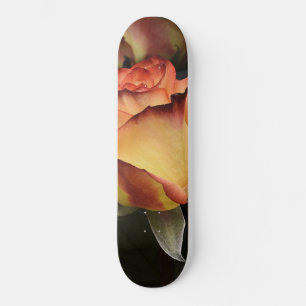 Orangen, Rot und Gelb Skateboard