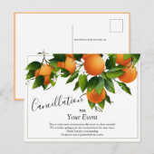 Orangen Stornierung Postkarte (Vorne/Hinten)