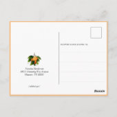 Orangen Stornierung Postkarte (Rückseite)