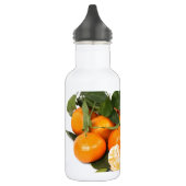 Orangen Trinkflasche (Links)