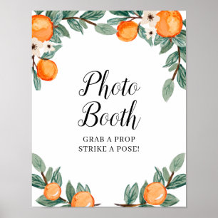 Orangen Twin Baby Showroom Foto Standzeichen Poster