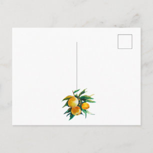 Orangen und Blumen Postkarte