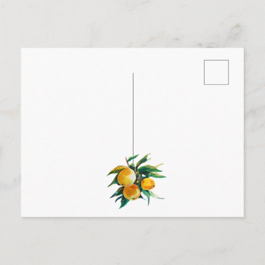 Orangen und Blumen Postkarte (Rückseite)