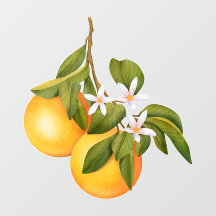Orangen und Blüten an einem Zweig Markt