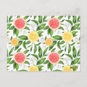 Orangen- und Grapefruitberatung für die zukünftige Postkarte (Rückseite)