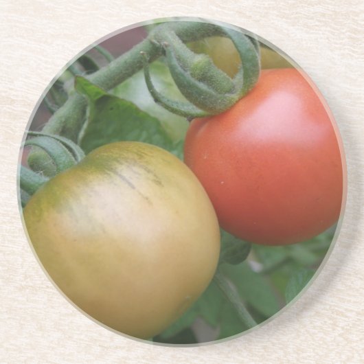 Orangen und Rote Tomaten/Paradeiser Untersetzer (Vorne)