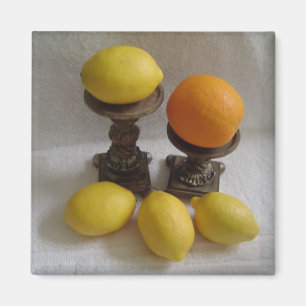 Orangen und Zitronen Magnet