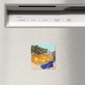 Orangen und Zitronen mit blauen Handschuhen, Van G Magnet (In Situ (Geschirrspüler))