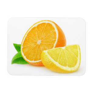 Orangen- und Zitronenstücke Magnet