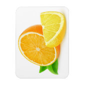 Orangen- und Zitronenstücke Magnet (Vertikal)