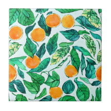 Orangen-Untersetzer für Wasserfarben