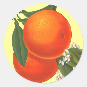 Orangen-Vintag-Kratzerstich Runder Aufkleber