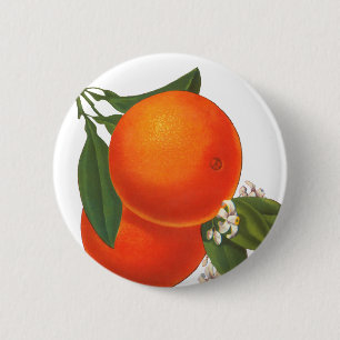Orangen Vintage-Kiste Kunst Button