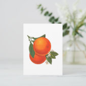 Orangen Vintage-Kiste Kunst Postkarte (Stehend Vorderseite)