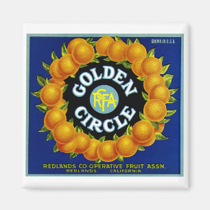 Orangen vom Goldenen Kreis Magnet