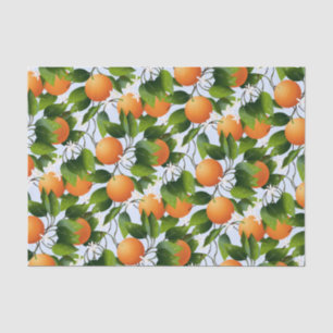 Orangen Zitrusfrüchte Seidenpapier