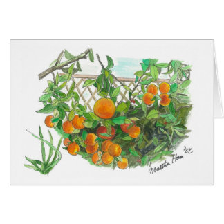 Orangenbaum