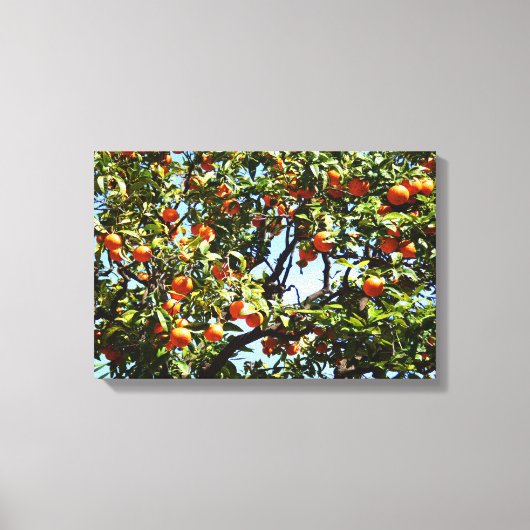 Orangenbaum Leinwanddruck (Vorderseite)
