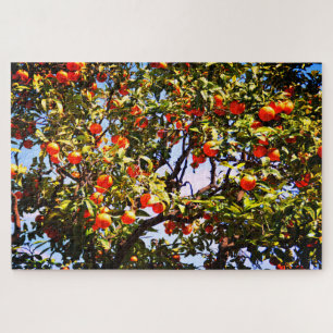 Orangenbaum Puzzle