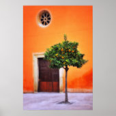 Orangenbaum Sehr Hübsch Poster (Vorne)