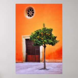 Orangenbaum Sehr Hübsch Poster