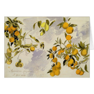 Orangenbäume, 1863 (w/c, Federübergraphit
