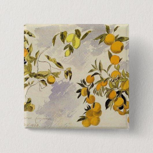 Orangenbäume, 1863 (w/c, Federübergraphit Button (Vorderseite)