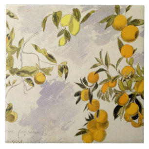 Orangenbäume, 1863 (w/c, Federübergraphit Fliese