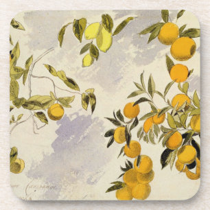 Orangenbäume, 1863 (w/c, Federübergraphit Getränkeuntersetzer