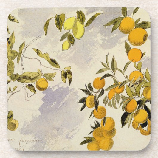 Orangenbäume, 1863 (w/c, Federübergraphit Getränkeuntersetzer (Vorderseite)