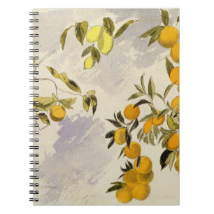 Orangenbäume, 1863 (w/c, Federübergraphit Notizblock