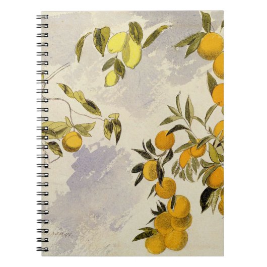 Orangenbäume, 1863 (w/c, Federübergraphit Notizblock (Vorderseite)