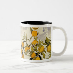 Orangenbäume, 1863 (w/c, Federübergraphit Zweifarbige Tasse