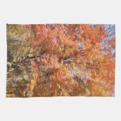 Orangenbäume Geschirrtuch (Horizontal)