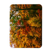 Orangenbäume im Herbst Magnet (Vertikal)