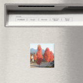 Orangenbäume im Herbst Magnet (In Situ (Geschirrspüler))