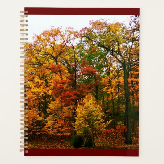Orangenbäume im Herbst Planer (Vorderseite)