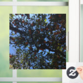 Orangenbäume in Buenos Aires arboles naranjos Fensteraufkleber (Zuhause)