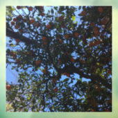 Orangenbäume in Buenos Aires arboles naranjos Fensteraufkleber (Blatt 3)