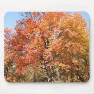 Orangenbäume Mousepad