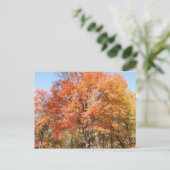 Orangenbäume Postkarte (Stehend Vorderseite)