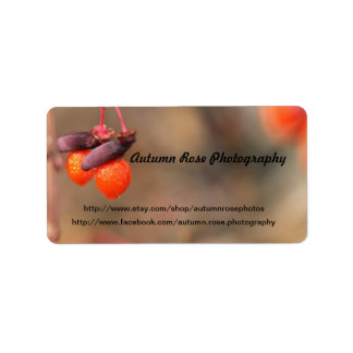 Orangenbeeren Adressaufkleber