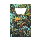Orangenbeeren Geldbeutel Flaschenöffner (Rückseite)