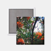 Orangenbeeren Magnet (Vorderseite/Rückseite)