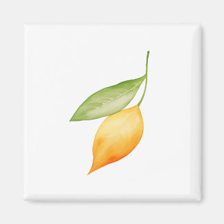 Orangenblatt Magnet